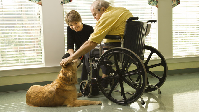 AGED CARE VOLUNTEER VISITORS SCHEME (ACVVS)